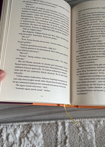 Hayatımın Akılalmaz Mantığı - Benjamin Alire Sáenz - Görsel 2