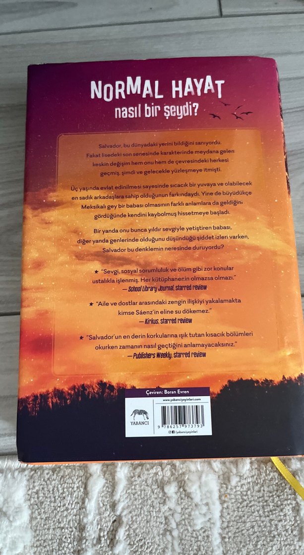 Hayatımın Akılalmaz Mantığı - Benjamin Alire Sáenz - Görsel 3