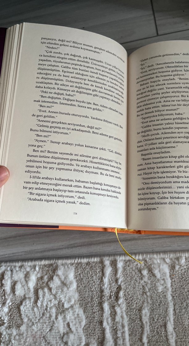 Hayatımın Akılalmaz Mantığı - Benjamin Alire Sáenz - Görsel 2