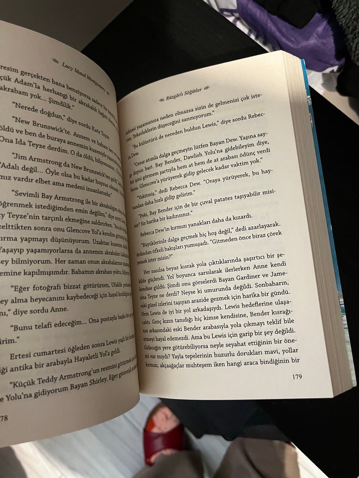 Yeşilin Kızı Anne - Rüzgarlı Söğütler Romanı - Görsel 2