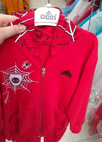 Diğer Spoderman karakterli takım