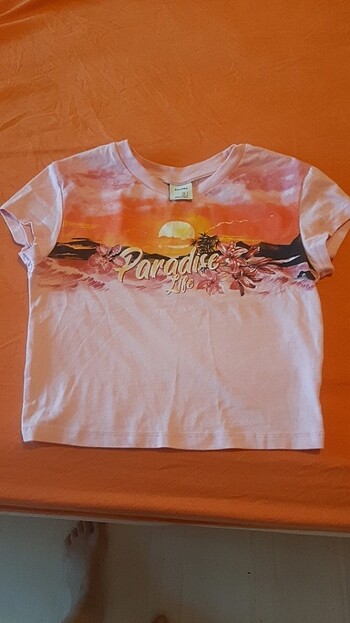 s Beden çeşitli Renk Tshirt