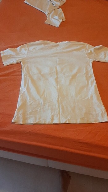36 Beden çeşitli Renk Tshirt