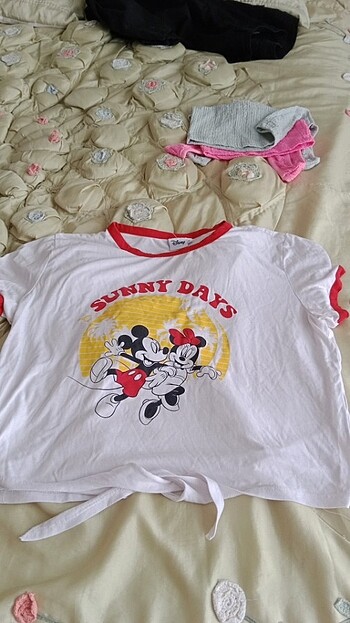  Disney xl