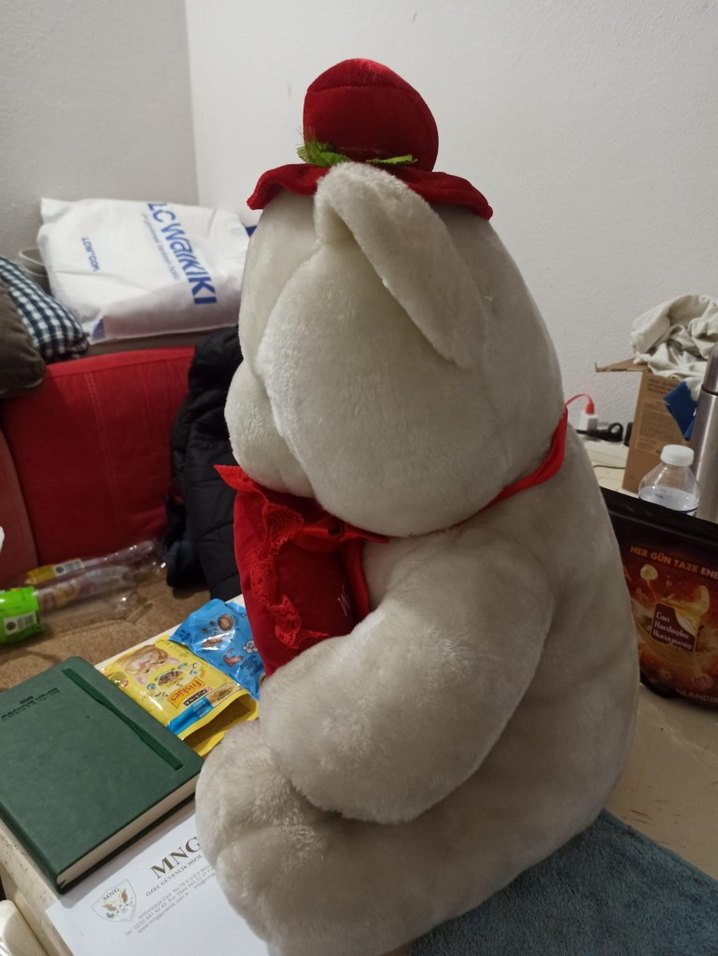Kırmızı Şapkalı Beyaz Peluş Ayı Oyuncak - Görsel 2