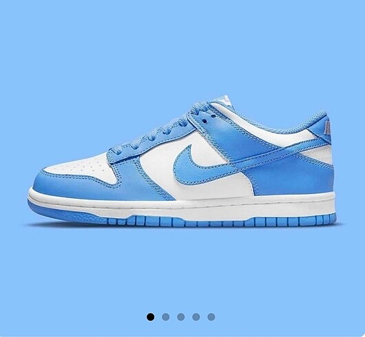 Nike dunk low