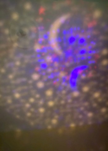 Ay ve Yıldız Desenli Siyah gece lambası - Görsel 6