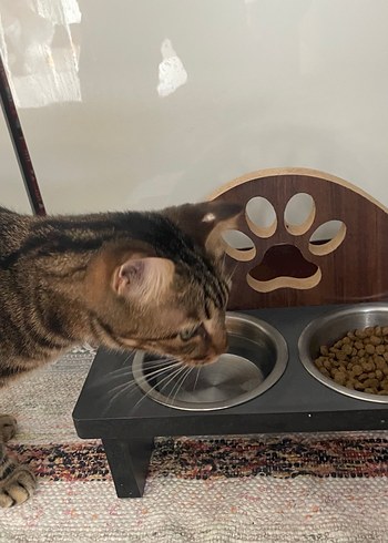 Kedi Mama Kabı / Kedi Su Kabı - Görsel 3