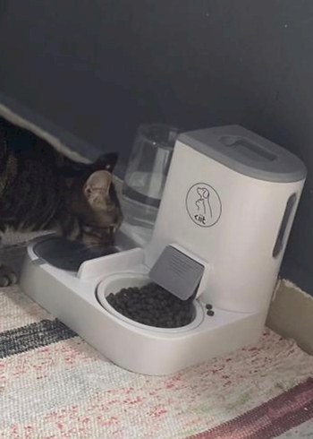 2'si 1 Arada Kedi ve Köpek Mama Su Kabı 2.2L - Görsel 2