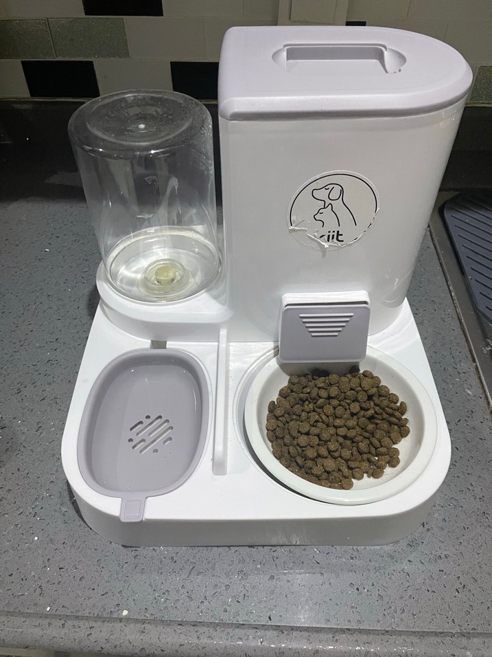 2'si 1 Arada Kedi ve Köpek Mama Su Kabı 2.2L - Görsel 3