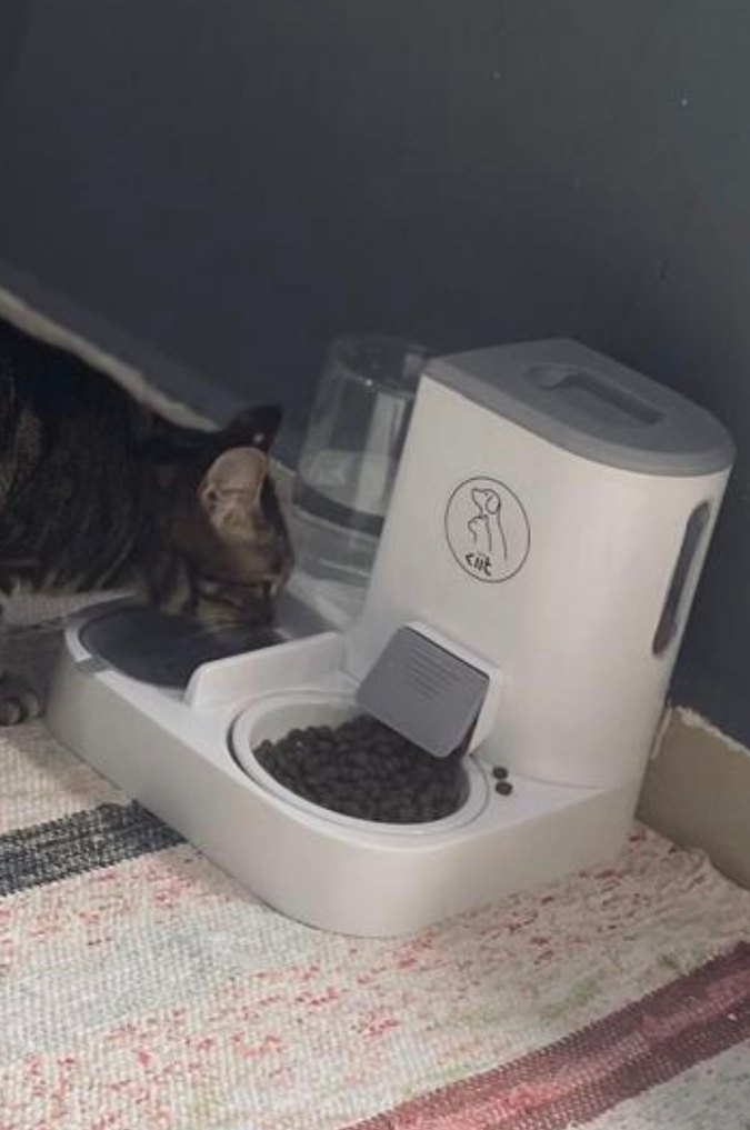 2'si 1 Arada Kedi ve Köpek Mama Su Kabı 2.2L - Görsel 2