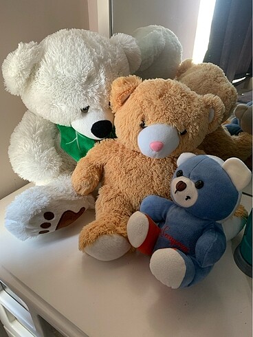 PELUS AYICIKLAR