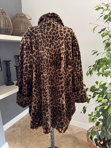 Leopar kaban - Görsel 7