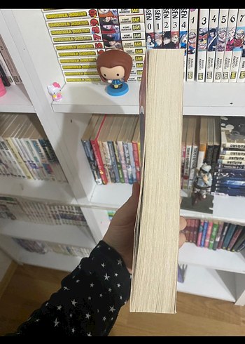 Baharat Yolu - Maiya Ibrahim - Görsel 3