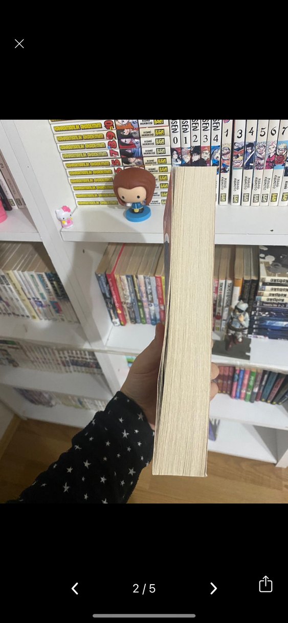 Baharat Yolu - Maiya Ibrahim - Görsel 3