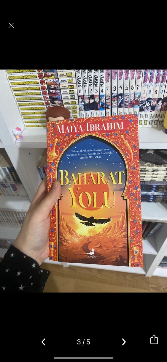 Baharat Yolu - Maiya Ibrahim - Görsel 2