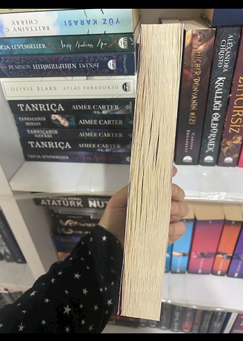 Eğer Beni Görebilseydiniz - Ann Liang - Görsel 2