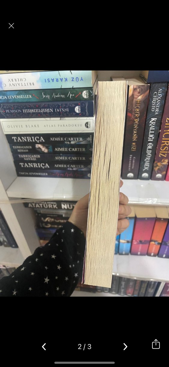 Eğer Beni Görebilseydiniz - Ann Liang - Görsel 2