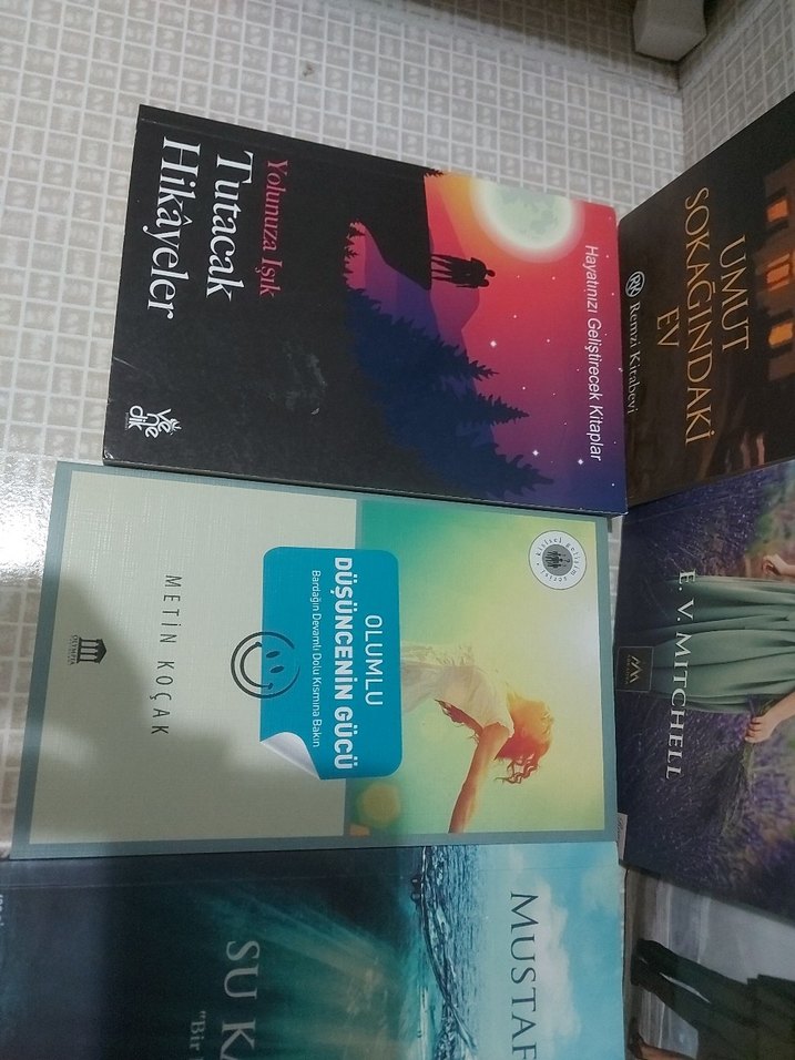 Çeşitli Roman ve Hikaye Kitapları Seti - Görsel 4