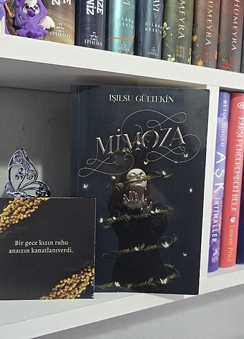  Mimoza 1 