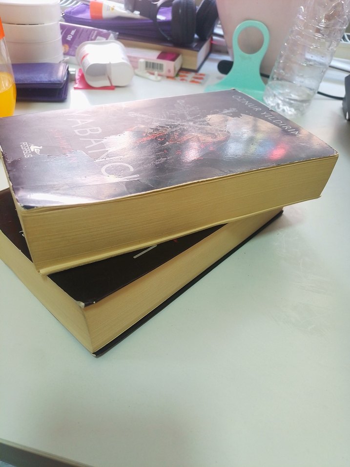 Öznur Yıldırım'dan Yabancı Roman Seti - Görsel 3