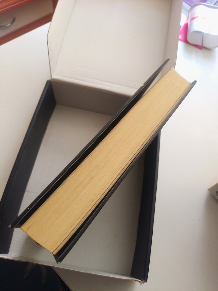 kimse gerçek değil Zeynep sey - Görsel 3