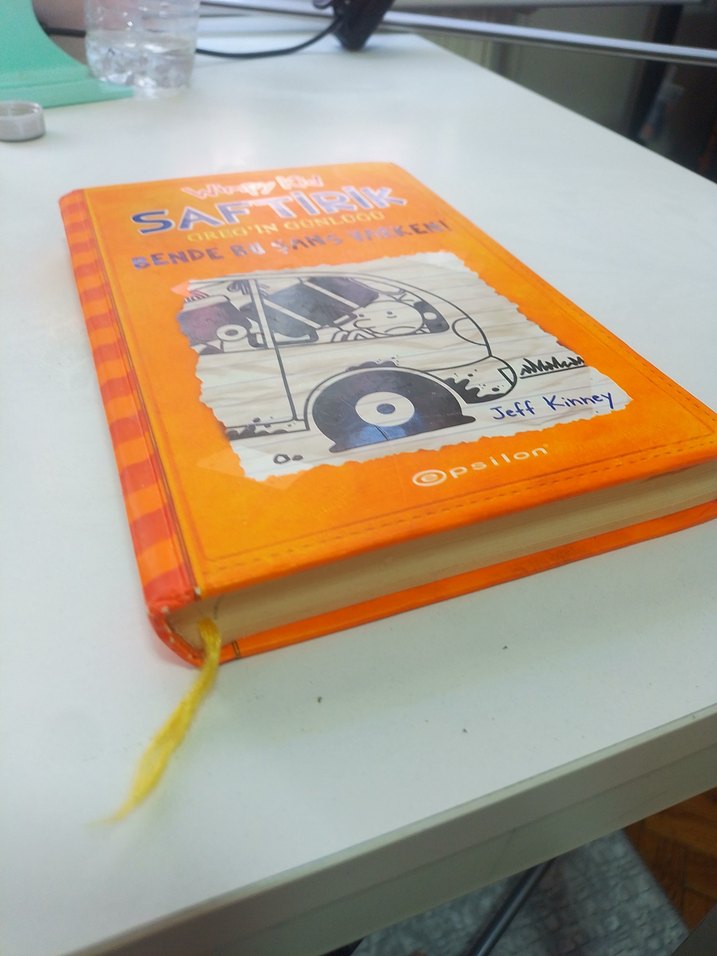 Saftirik Greg'in Günlüğü: Bende Bu Şans Varken - Görsel 2