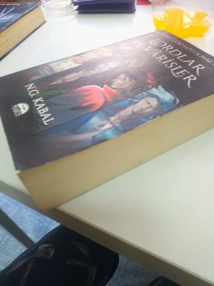 Lordlar ve Varisler Romanı - N.G. Kabal - Görsel 3