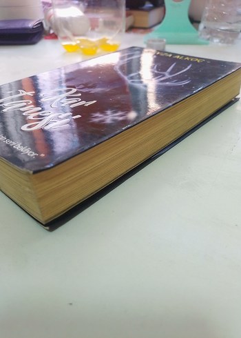 Kar Tanesi - Beyza Al Koç Romanı - Görsel 4