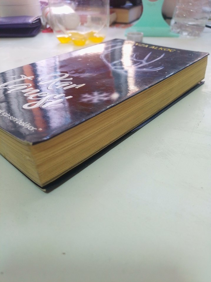 Kar Tanesi - Beyza Al Koç Romanı - Görsel 4