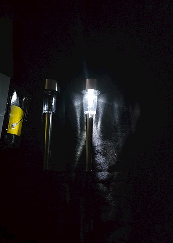 BEYAZ VE RGB BAHÇE AYDINLATMASI - Görsel 11