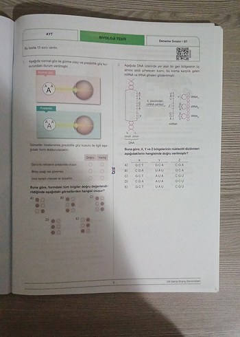  Beden Ulti Yayınları Ayt Biyoloji Denemeleri