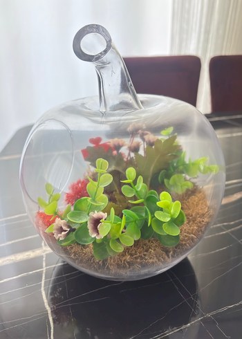 Kırmızı Hediyeli Cam Elma Teraryum - Görsel 3