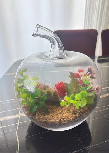 Kırmızı Hediyeli Cam Elma Teraryum - Görsel 4