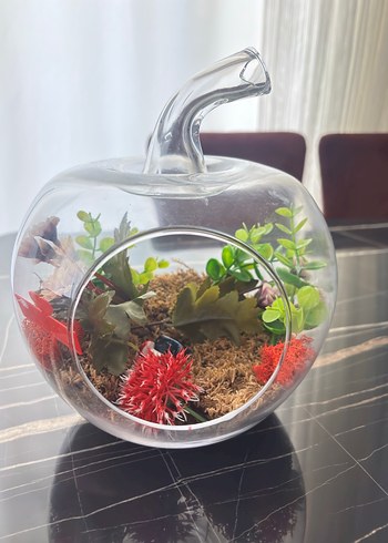 Kırmızı Hediyeli Cam Elma Teraryum - Görsel 2