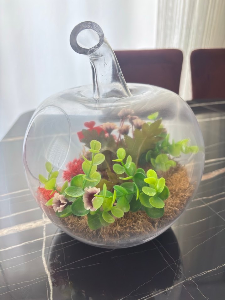 Kırmızı Hediyeli Cam Elma Teraryum - Görsel 3