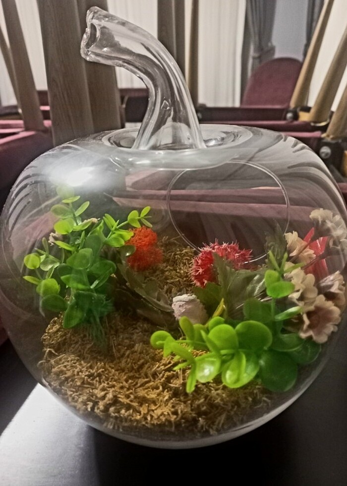 Sevgiliye hediye cam fanus - Görsel 2