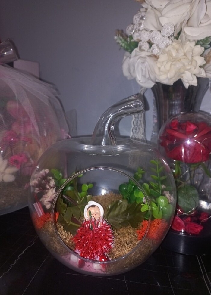 Sevgiliye hediye cam fanus - Görsel 3