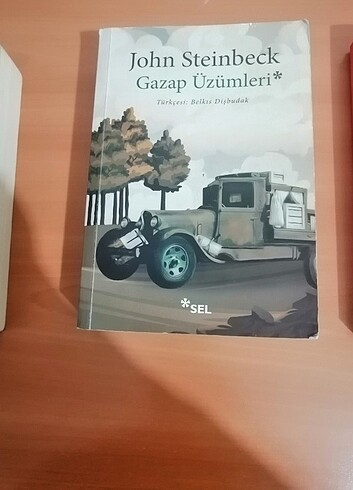 Gazap üzümleri John stainbeck
