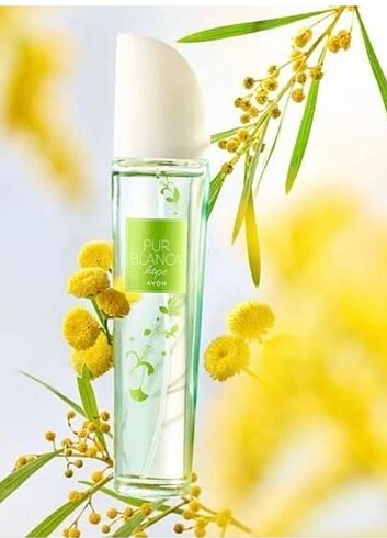 Pur blanca hope 50 ml bayan parfüm