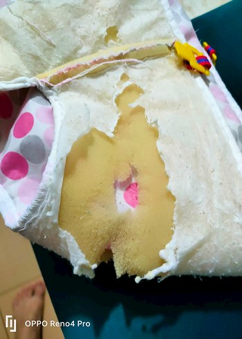 Renkli Pembe Bebek Yürüteci - Görsel 5