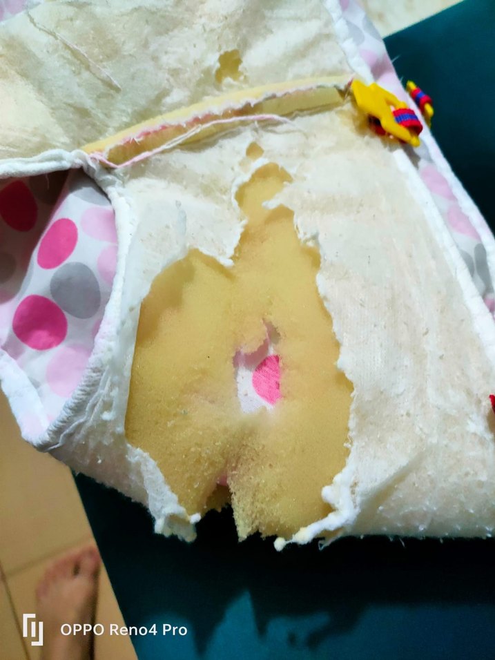 Renkli Pembe Bebek Yürüteci - Görsel 5