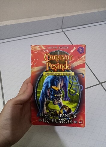 Kitap roman 