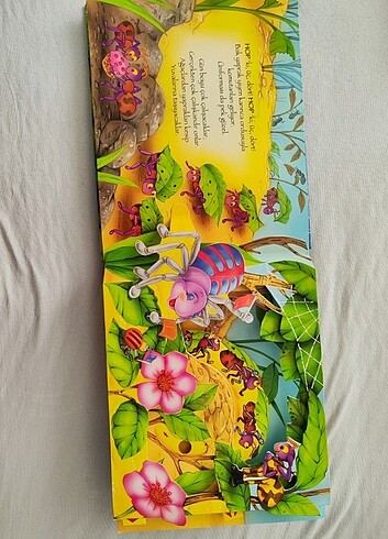  Beden Bir böceğin dünyası üç boyutlu kitap 