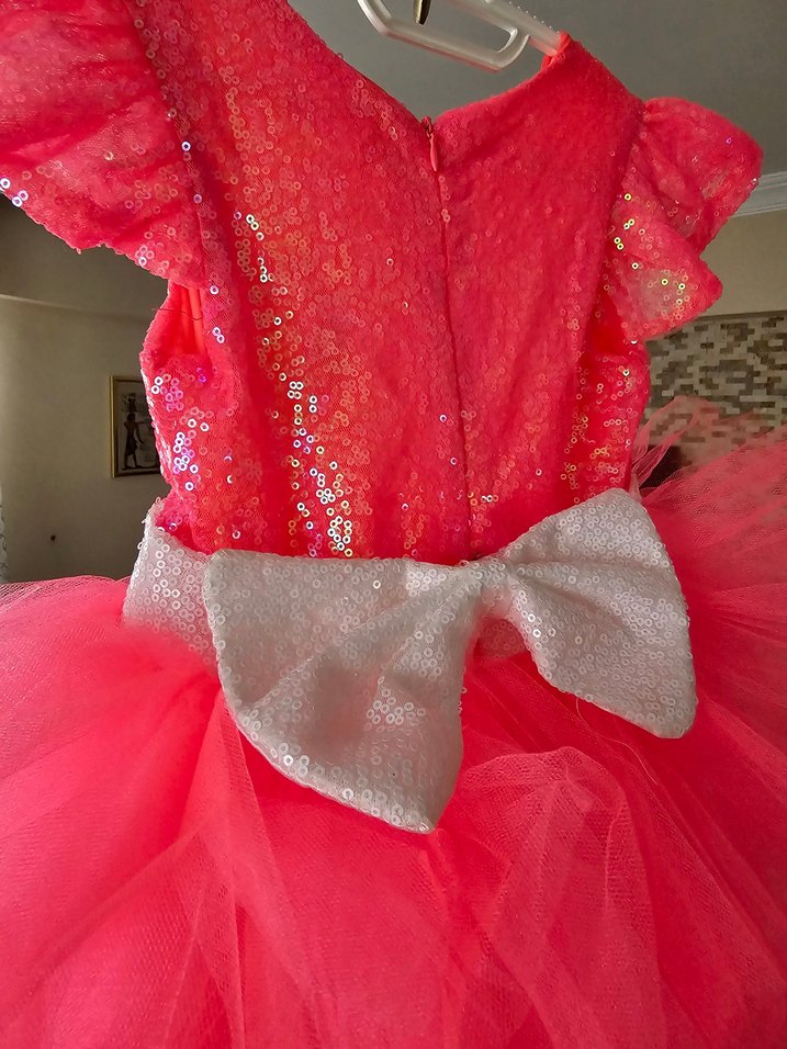 Pembe Barbie Kız Elbisesi Tül Etekli - Görsel 4