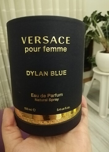 Versace Versace Dylan Blue 