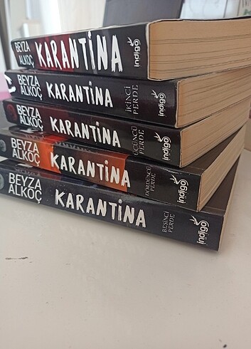  Karantina Beyza Alkoç 