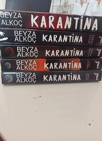 Karantina Beyza Alkoç 