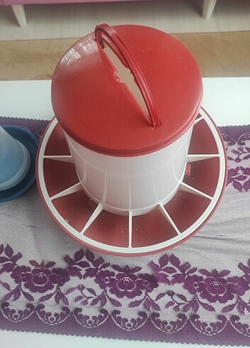 Tavuk suluk ve yemlik