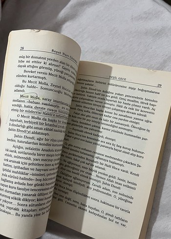 Reşat Nuri Güntekin - Yeşil Gece Romanı - Görsel 5
